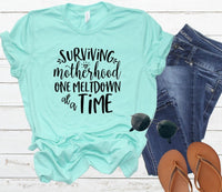 GRAPHIC TEE - Surviving Motherhood | One Melt Down | At a Time | Momlife | Graphic Tee | Unisex Shirt