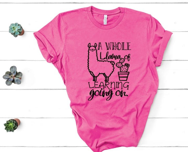 Llama of Learning Screen Print
